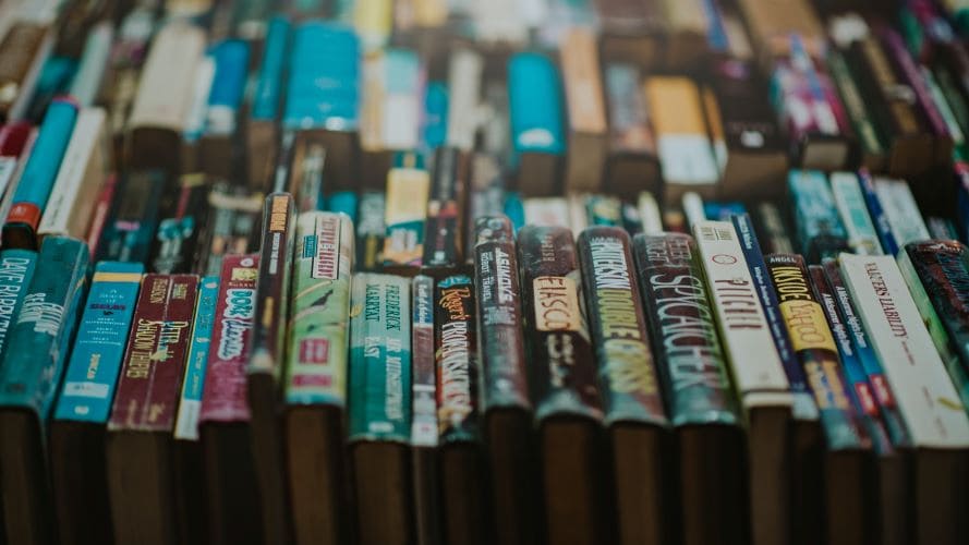 livres-romans-librairie-la-parenthèse-beaupreau-mauges