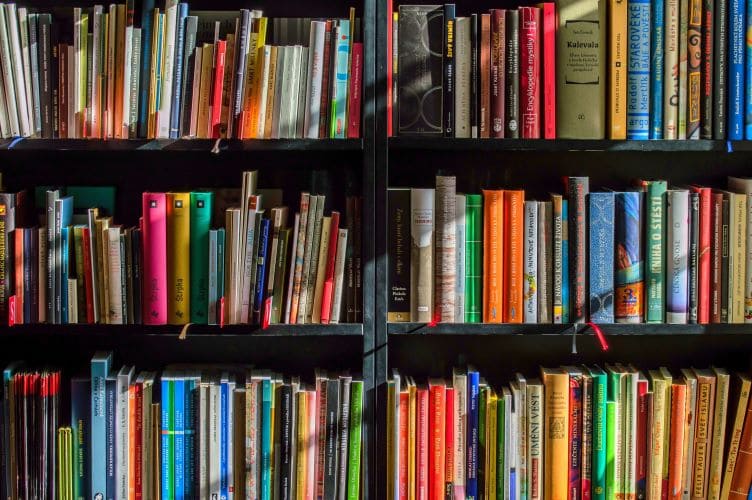 livres-romans-librairie-la-parenthese-beaupreau-mauges